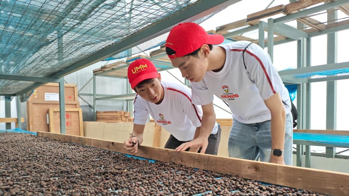 UMM–SCU Jepang Masuk Dekade Kedua, Kembangkan Kopi Batu hingga Pasar Jepang