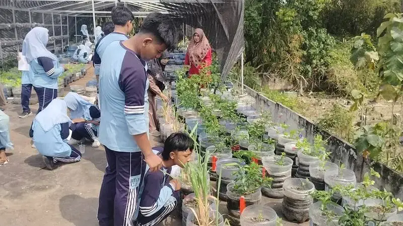 Mengenal Budidaya Tanaman Pangan Lokal, Siswa MTs Muhammadiyah 4 Belajar di Masjid Baiturrahim