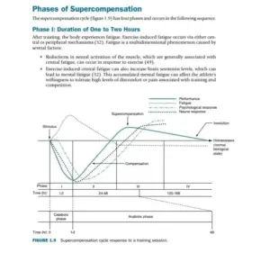 Osteoporosis Spiritual dan Superkompensasi Iman