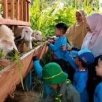 Anak-anak PAUD Aisyiyah II Kota Probolinggo Kenali Ragam Hewan Ternak saat Outing Class