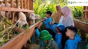 Anak-anak PAUD Aisyiyah II Kota Probolinggo Kenali Ragam Hewan Ternak saat Outing Class