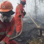 Ketika Hutan Terbakar, Negara Tak Cukup Sekadar Memadamkan Api