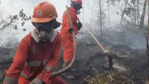 Ketika Hutan Terbakar, Negara Tak Cukup Sekadar Memadamkan Api