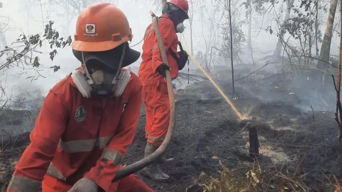 Ketika Hutan Terbakar, Negara Tak Cukup Sekadar Memadamkan Api