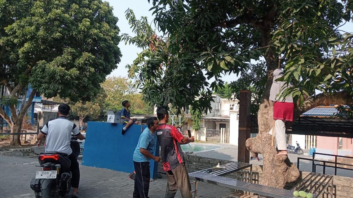 Jum’at Bersih Berkah, Guru Spemudas Panen Mangga Ranum di Halaman Sekolah