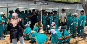 Tanam Mangrove Sendiri, Siswa SD Muhammadiyah 1 Driyorejo Gresik Belajar Merawat Pesisir Sejak Dini