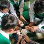 Mengenal Kearifan Lokal, Murid SD Mugres Kampus B Kunjungi Rumah Produksi Pembuatan Bonggolan di Sidayu Gresik