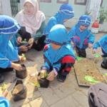 Outing Class PAUD Aisyiyah II Kota Probolinggo, Anak-anak Praktik Menanam Bibit Cabai