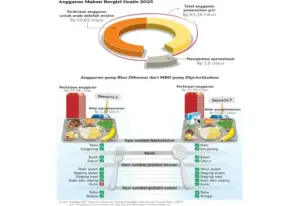 MBG dan Akuntabilitas Keuangan Negara