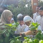 Murid SD Muhammadiyah 3 Ikrom Wage Panen Pakcoy Hidroponik