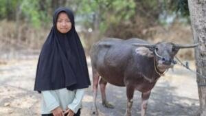Santriwati Nganjuk Menangkan Kerbau di Ngonthel Bareng