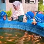 Serunya Outing Class PAUD Aisyiyah II Probolinggo, Anak-anak Belajar Budidaya Ikan