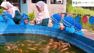 Serunya Outing Class PAUD Aisyiyah II Probolinggo, Anak-anak Belajar Budidaya Ikan